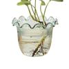 Decorative Vases for Home Decor Water Plant Vase Hydroponic Planter PET Vase transparent Water Plant Vase Hydroponic Planter