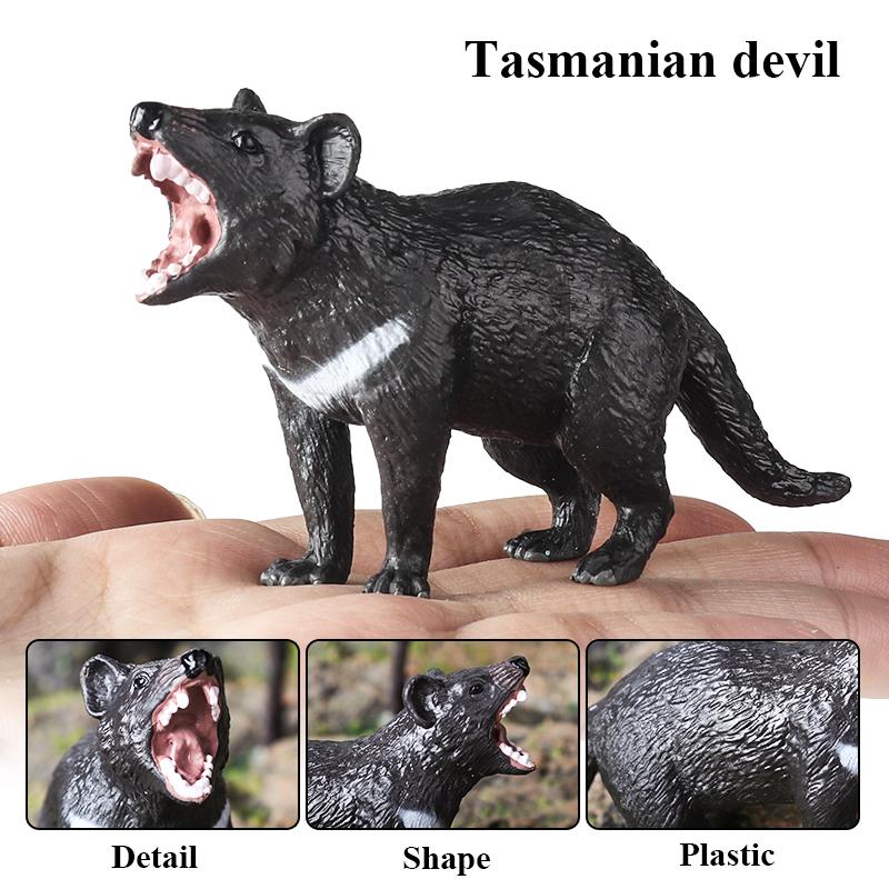 Oenux Classic Australian Wild Animals Kangaroos Koala Platypus Tasmanian Devil Echidna  Cassowary Model Figurine Toy Kid Gift