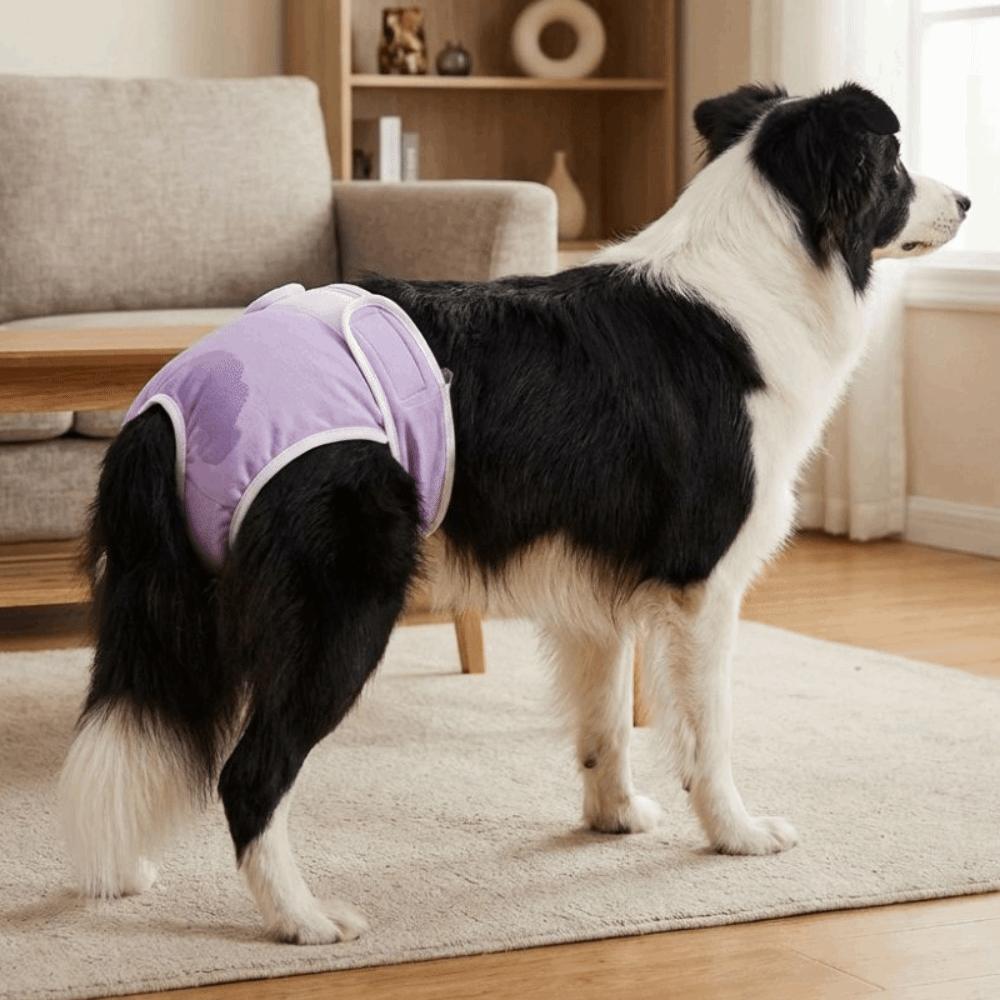 Adjustable Pet Diapers Leak-proof Dog Sanitary Panties Dog Physiological Pants  Pet Menstruation