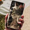For Sony Xperia 1 VI Case Luxury Black Silicon TPU Soft Phone Cover for Sony Xperia 1 VI Shockproof Bumper Shell Xperia 1VI Capa