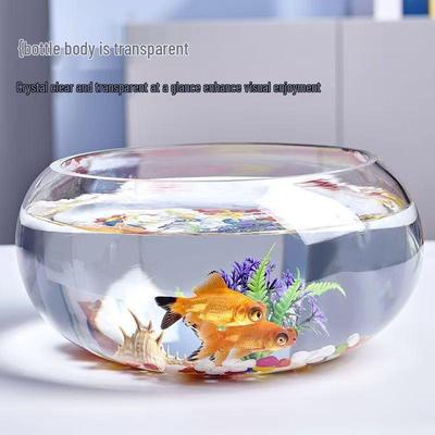 Balık & Akvaryum Hayvanları – Akvaryum dekorasyonları