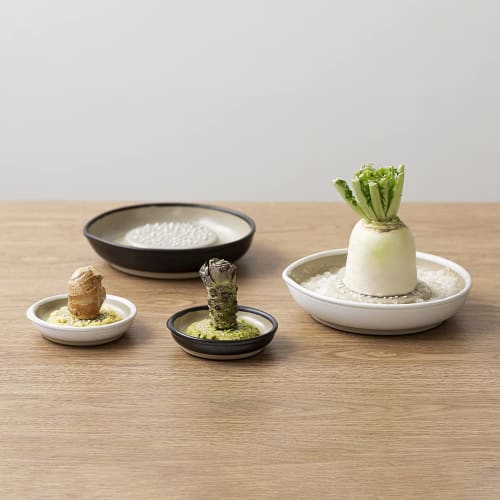 &NE Iwami-yaki Grater, Large, Hare to Ke x Motoshige, White, 18cm Diameter x 4cm Height, Made in Japan, Ceramic, One-Handed Grinding, Non-Slip, Microw