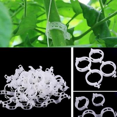 Gartenwerkzeug – Bänder & Clips für Pflanzenbündeln