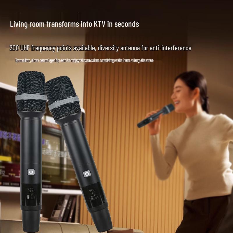 HuiDu HD-801 Dual Handheld UHF FM Wireless Microphone for Professional Speech