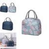 Portable Lunch Bag Insulated Cooler Thermal Food Storage Box Tote For Adults And Kids