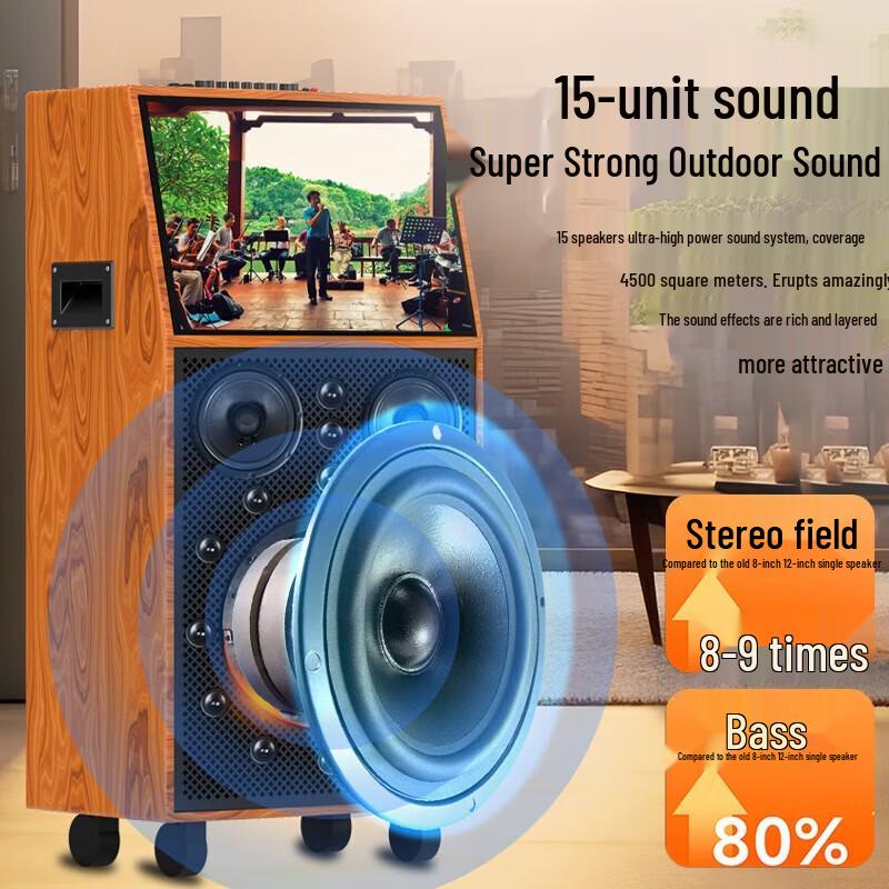 Soaiy SA-D9C 10-inch KTV Karaoke Speaker with Display