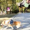 10/16FT Retractable Dog Leash Heavy Duty Pet Walking Leash for Small Medium Large Dogs Tangle-Free Long Dog Lead with One-Hand Brake