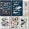 Whale and Shark Seashells Marine Life Poster HD Art Sticky Wall Waterproof Home Living Room Bedroom Bar Aesthetic Decoration