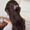 Korean Wave Acetate High Ponytail Claw Hair Clip - 2025 Fashion Shark Clip