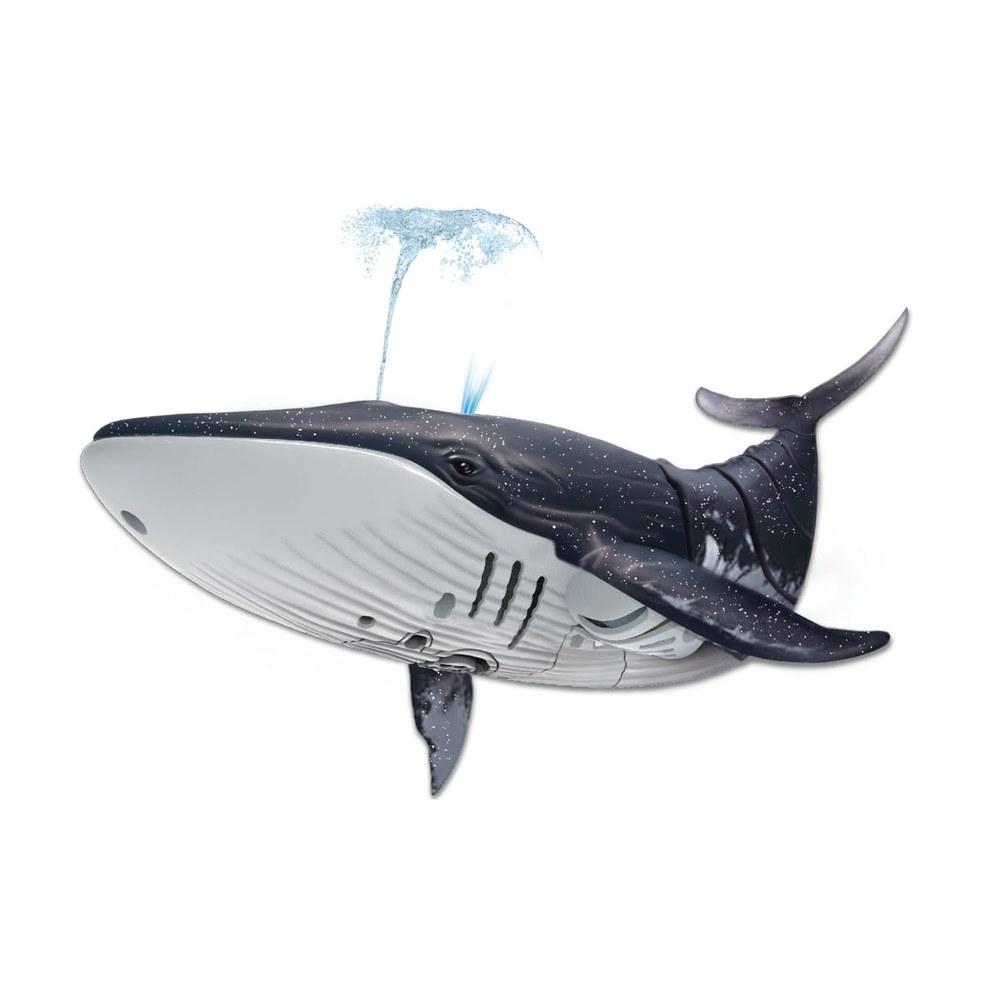 DOYUSHA 2.4GHz R/C Whale Electric Radio Control 00588 Blue