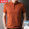 Hengyuanxiang Men's Summer Mercerized Cotton Polo Shirt