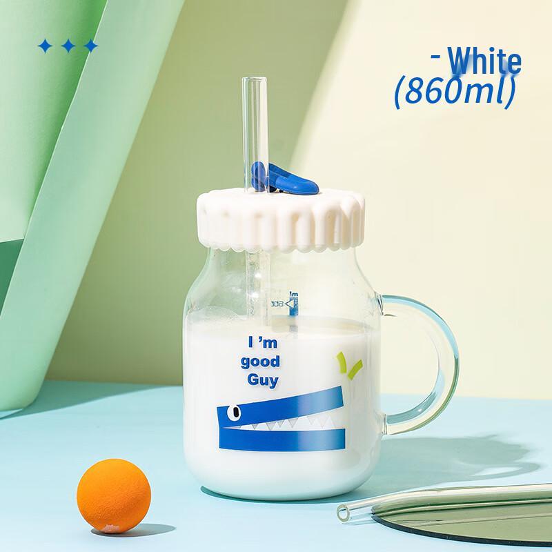 

High Borosilicate Glass Tumbler with Handle and Straw