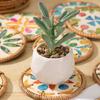 Scoici Colorate Coaster Rotund din Ratan Pad Protector pentru Masă de Dining Rezistent la Căldură Suport pentru Ceașcă Cafea Ceai Băutură Cană Suport de Masă Bucătărie