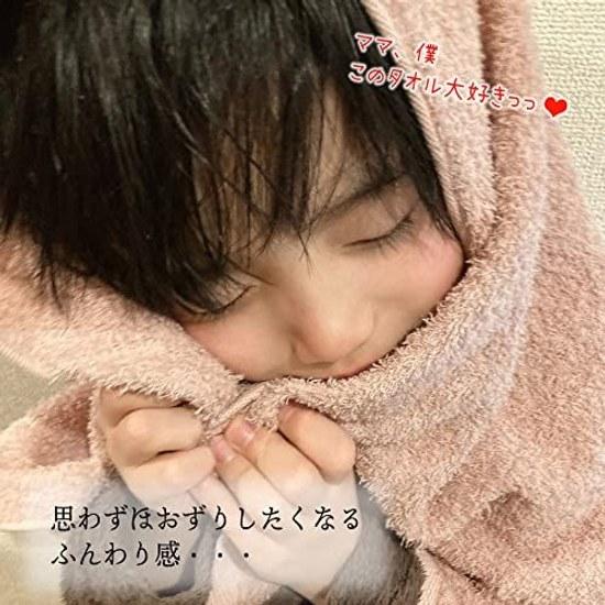 Imabari Factory Towel Certified Face Made Japan Grayish Brown Approximately 8034cm Set 4