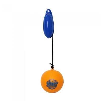 Smart Ball Football Kick Trainer