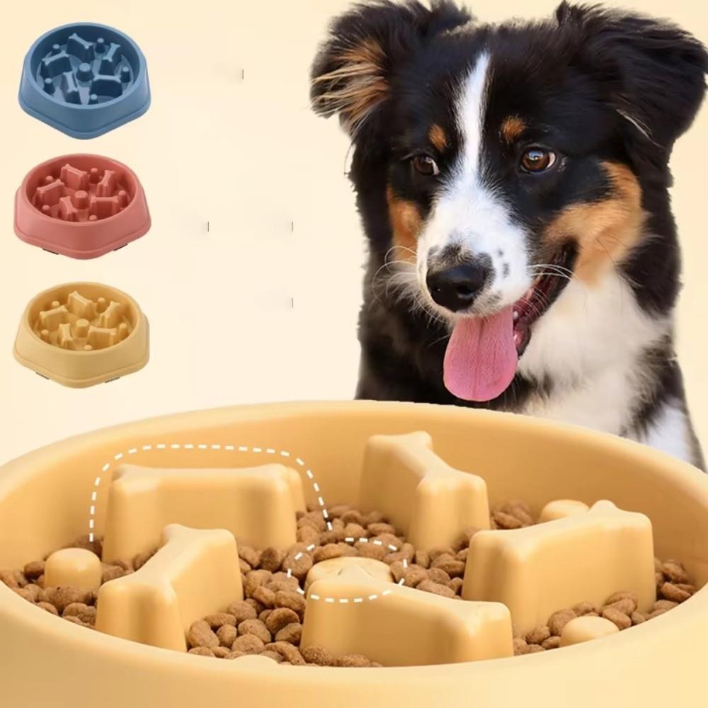 Anti-choking Dog Bowl Slow Feeder Pet Feeder Bowl New Slow Feeding Bowls  Cat Feeding
