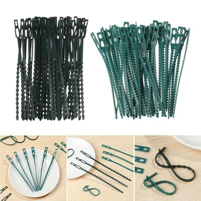 Garten Kunststoff Gartengerät Baum Klettern Unterstützung Gartenarbeit Fishbone Krawatten Sträucher Verschluss Pflanze Kabelbinder