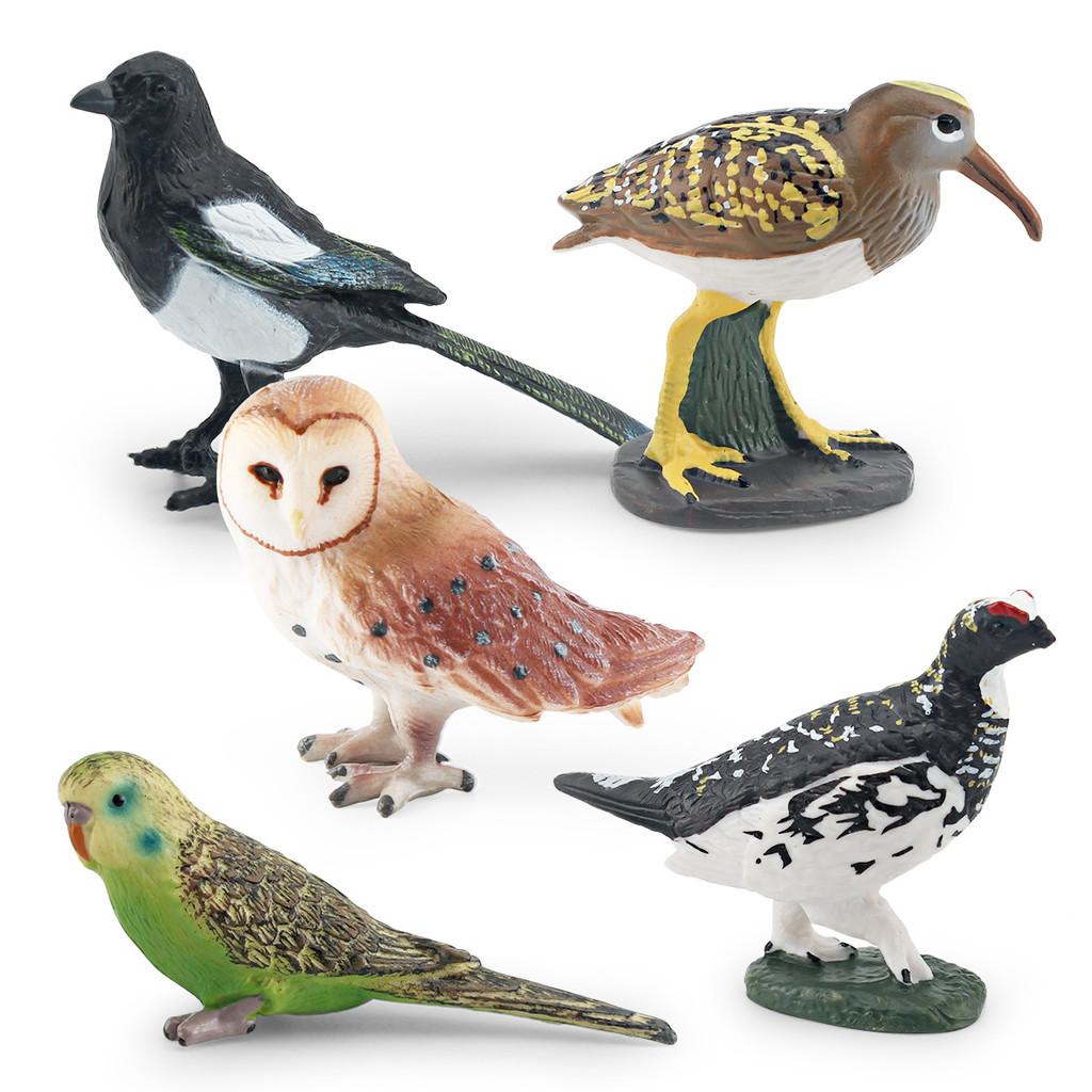 Realistic Bird Models Pvc Garden Decor Collection With Magpie Parrots And Owl Animal Figurines For Landscaping And Home Decoration
