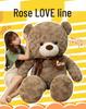 Large Rose Teddy Bear Hugging Doll Plush Toy - Big Panda Cushion
