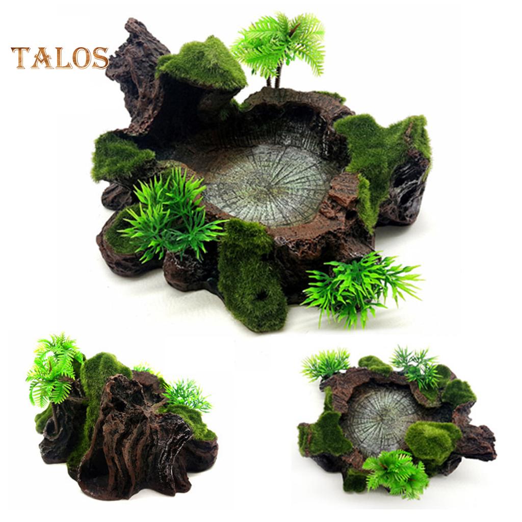 lizard tank decorations