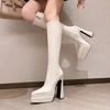 Super High Heels Women Boots High Quality Patent Leather Higt Heeled Boots Sexy Pointed Knee High Boots for Women Platform Botas