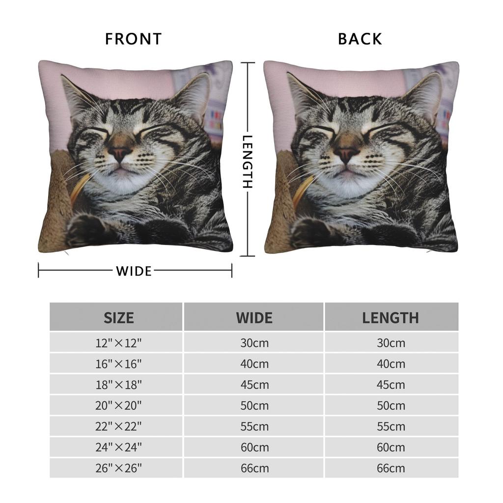 Cat Nap Artistic Design Pillow Case Kawaii Pillow Cover Comfy Pillowcases For Sofa Home Decor