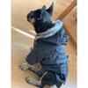 Pet Dog Clothes for Small Dogs Winter Warm Puppy Cat Coats Jackets Chihuahua French Bulldog Jacket Pets Clothing Products XXL