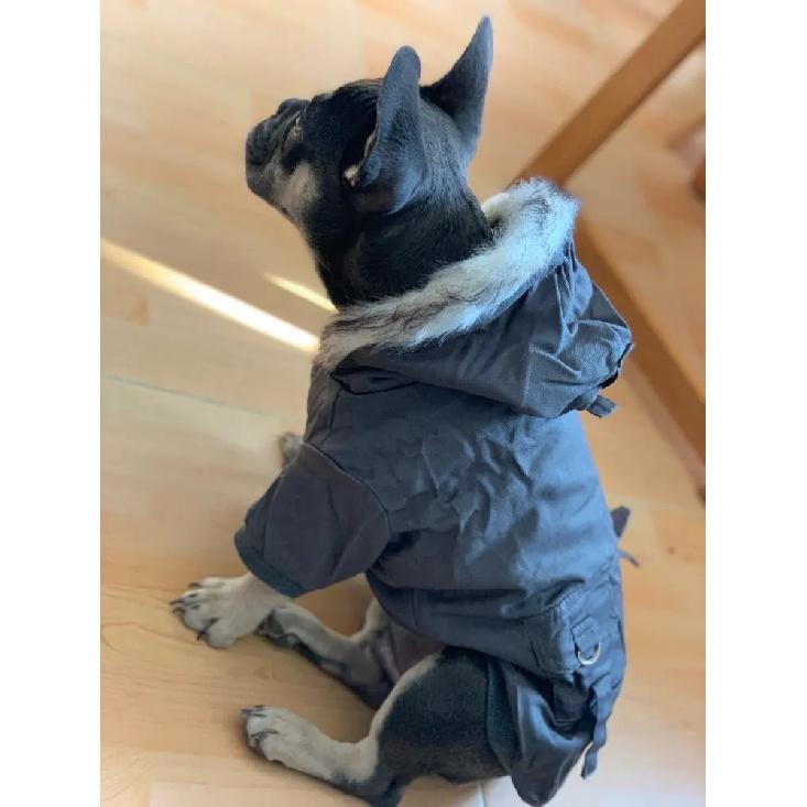Pet Dog Clothes for Small Dogs Winter Warm Puppy Cat Coats Jackets Chihuahua French Bulldog Jacket Pets Clothing Products XXL
