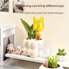 Clear Plant Automatic Watering System Balls Tulip Shape Self Watering Globes Plant Waterer