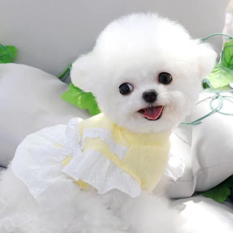 Pet yarn skirt Teddy Pomeranian Poodle Yorkshire Schnauzer miniature dog cat dog clothes thin