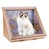 3D Cat Scratcher Board Wear Resist Oil Painting Frame Cat Nest Breathable Cardboard Photo Frame Cat Bed Pet Supplies Gift