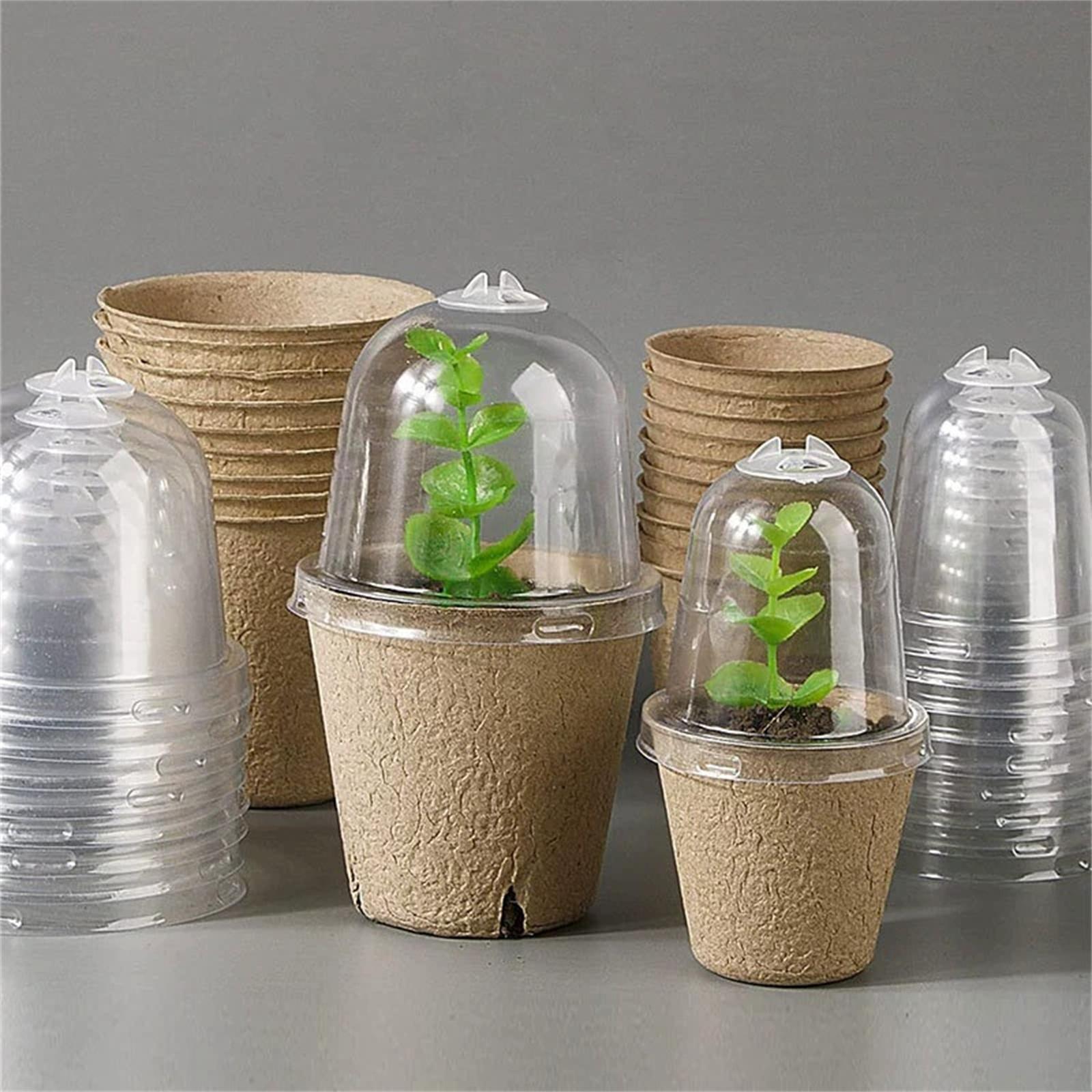 

1 набор Набор посадочных горшков с дренажными отверстиями для суккулентов для дома, улицы, сада, питомника, кашпо для цветов, садовый инвентарь S