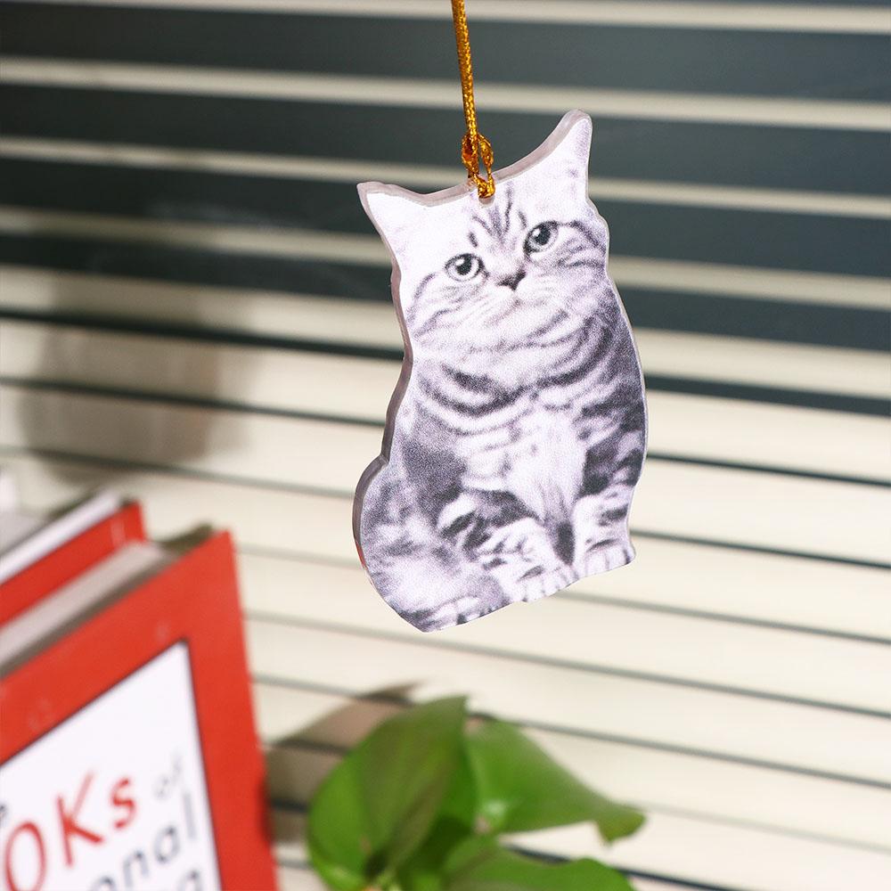 Simulation Model Car Acrylic Pendant Cat Car Pendant Animal Acrylic Pendant Car Hanging Ornament
