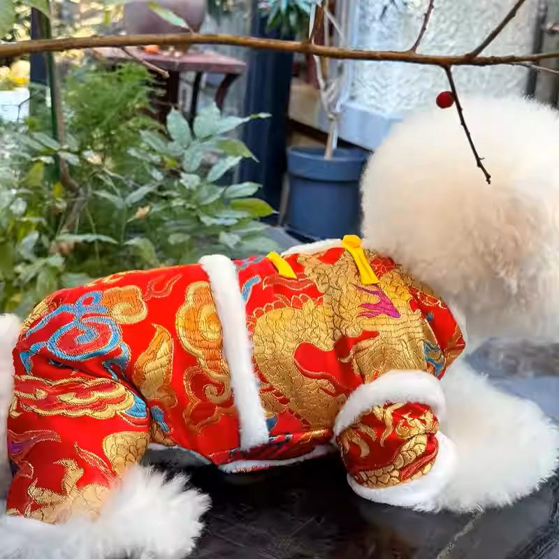 Golden Dragon Auspicious Clouds Dog Clothes - Autumn/Winter Four-Legged Cotton Outfit for Small Breeds like Teddy, Bichon, and Pomeranian.