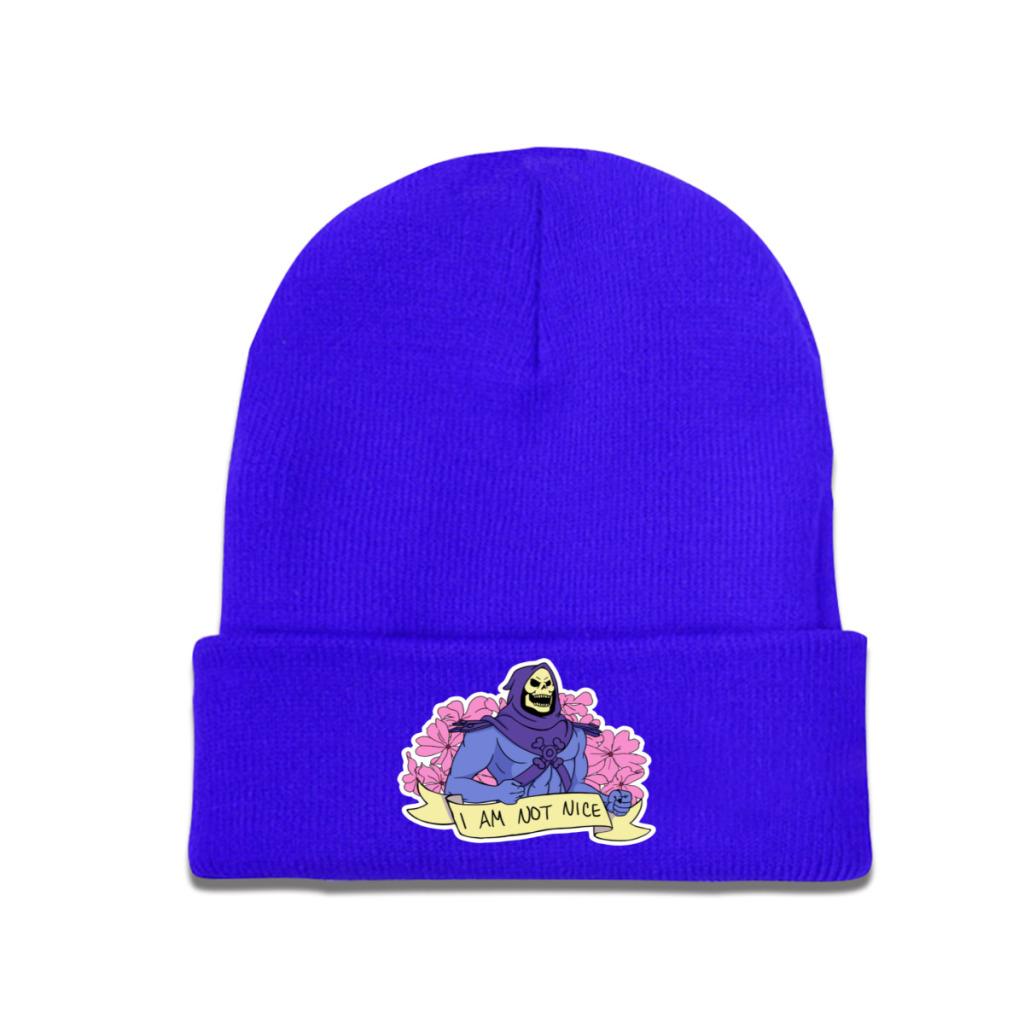 I Am not Nice He-Man and the Masters of the Universe Pălărie din tricot Beanie Pălării de iarnă Căldură din poliester Şapcă casual Unisex Cadou pentru femei