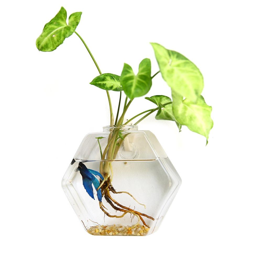 Hydroponics Plants Wall Hanging Vase Transparent Plant Propagation Vase  for Home Office Decor