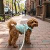 Airy Fabric Pet Cooling Vest Fly Sleeve Summer Dog Clothes Cute Dog Sunscreen Shirt  Sun Protection