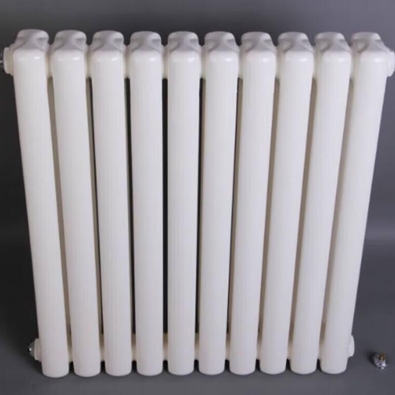 BOMP Steel Wall-Mounted Hydronic Radiator