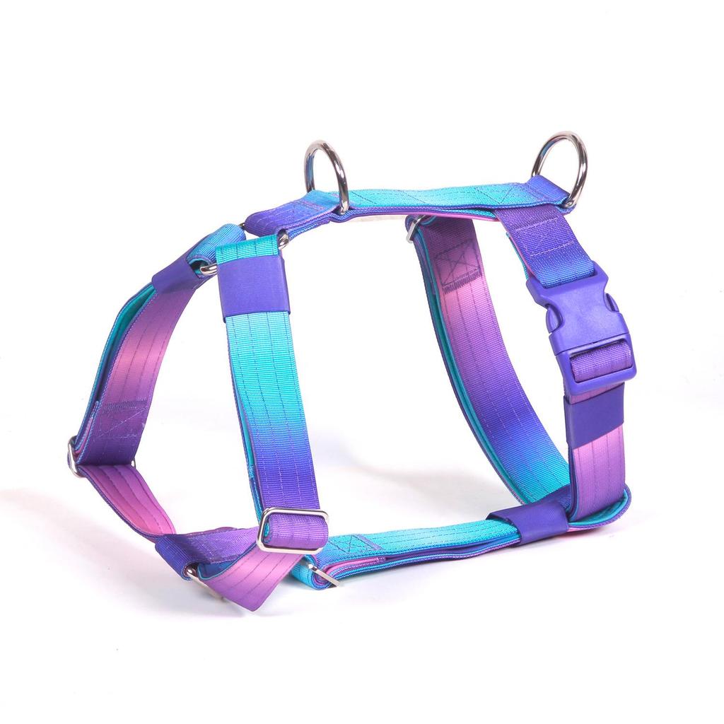 Adjustable Gradient Nylon Dog Harness for Medium To Large Dogs