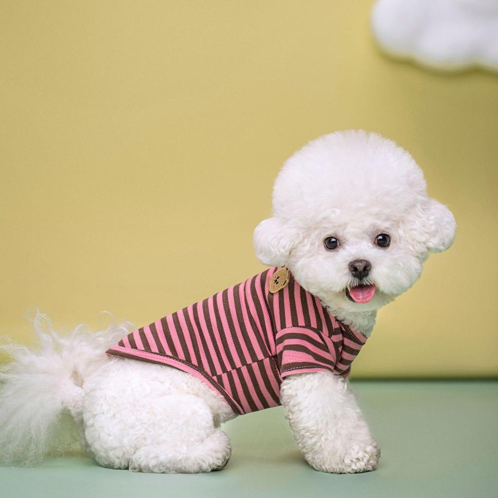 Striped Pet Dog T-Shirt for Small & Medium Breeds - Two-Legged Design, Spring/Summer Collection for Teddy Puppies