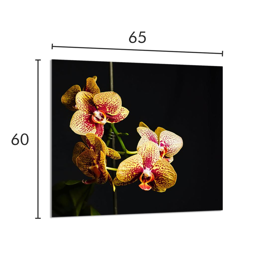 PANEL SZKLANY DO KUCHNI 65x60 Orchidea