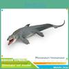 Simulated Brontosaurus Iguanodon Mamenchisaurus Mosasaurus Model Ornament For Kids Learning And Decor