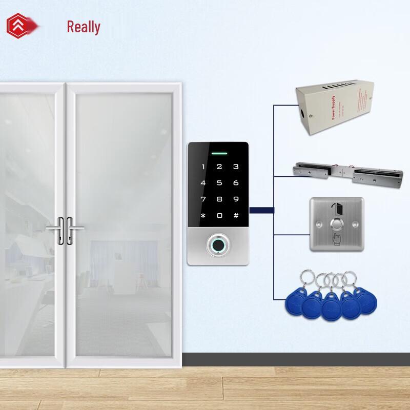 Realand X503 Waterproof Fingerprint Access Control System CN plug (adapter included)
