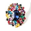 Workmanship Trendy Novelty Personality Faux Crystal Women Accessories Supplies Brooch