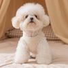 Pet Clothes Dog Clothes Autumn and Winter Two-legged Fleece Puppy Bigbear Teddy