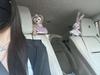 Charming Car Ornaments: Plush Passenger Seat Toys & Decorations for Women, Perfect for Tesla.