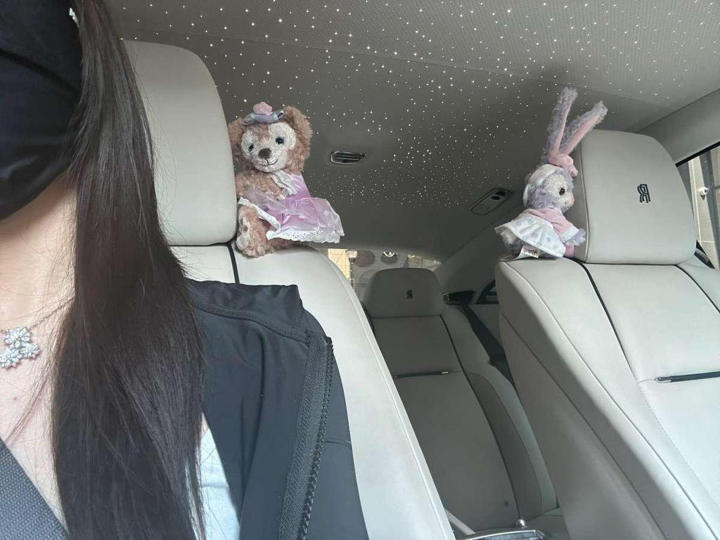 Charming Car Ornaments: Plush Passenger Seat Toys & Decorations for Women, Perfect for Tesla.