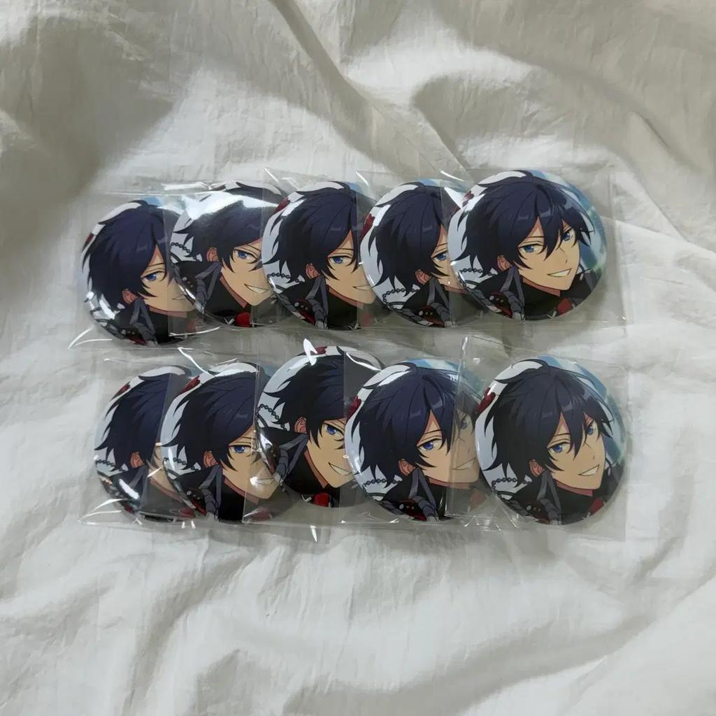 ENSEMBLE STARS Enstar Ensemble Stars Hokuto Round Can Badge (10 pieces) Used