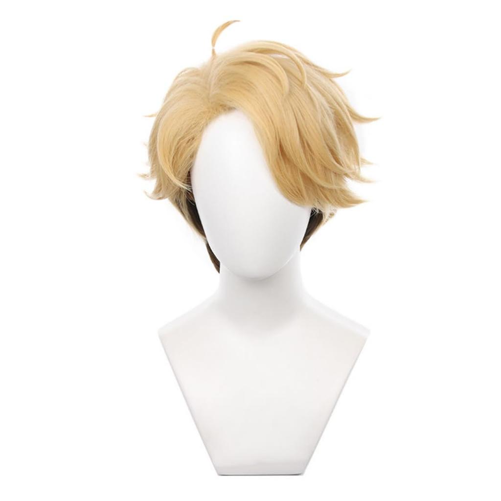 Akixen Ensemble Stars Narukami Arashi Wig Cosplay Anime Hairnet Fashion Gift Event Halloween Christmas Heat Resistant Disguise Costume School Festival