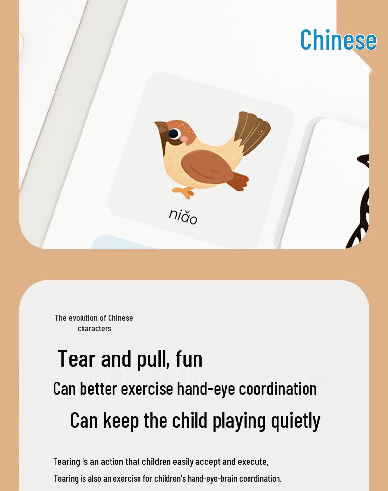 Pinwheel Chinese Character Evolution Literacy Cards for Early Education